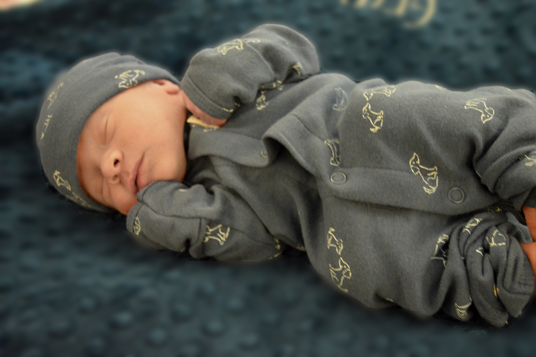 Grayson Joshua photo