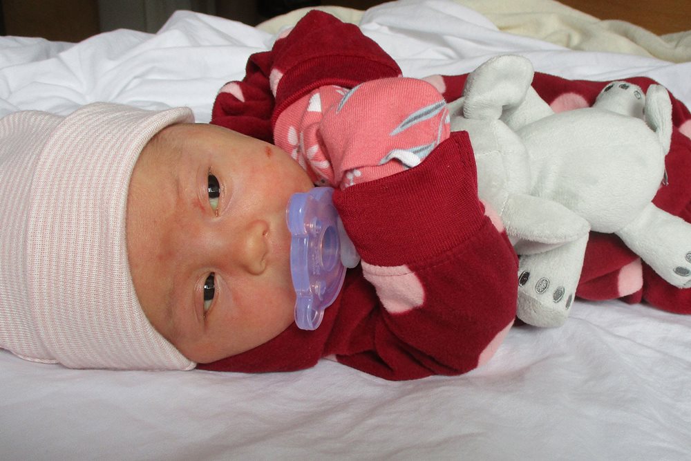 Blake Lily  photo