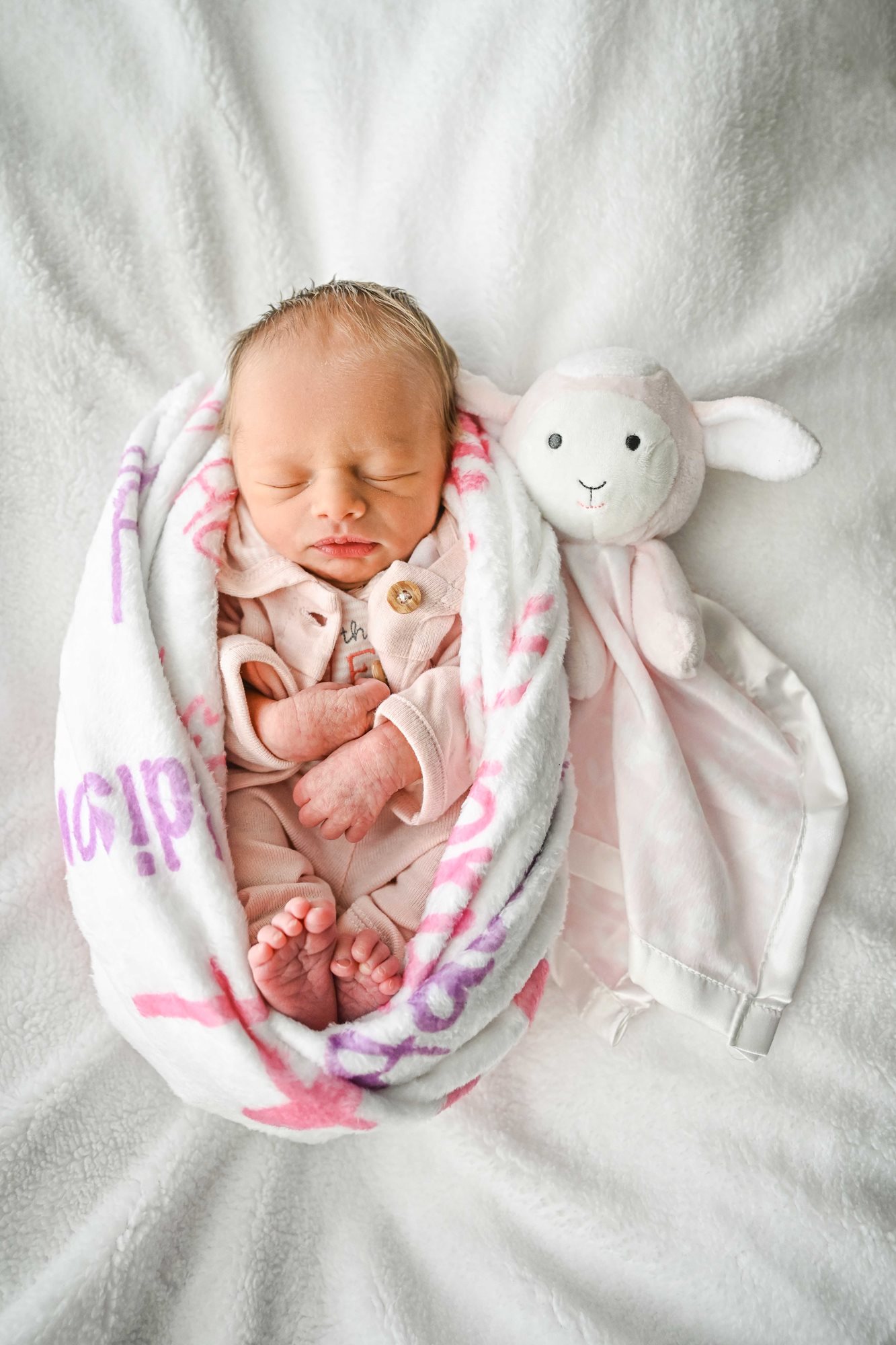 Addison Ann photo
