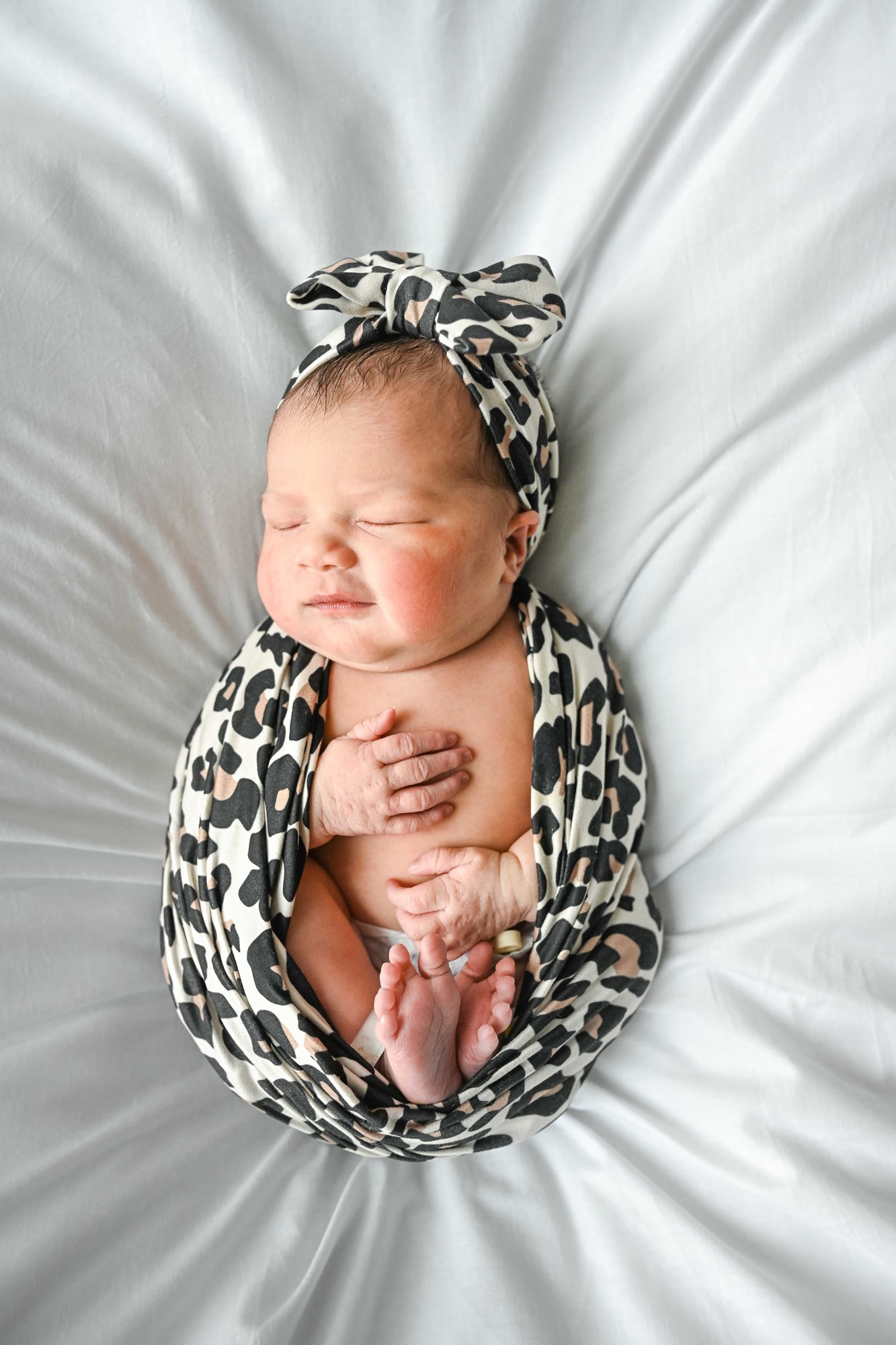 Chloe Sophia photo
