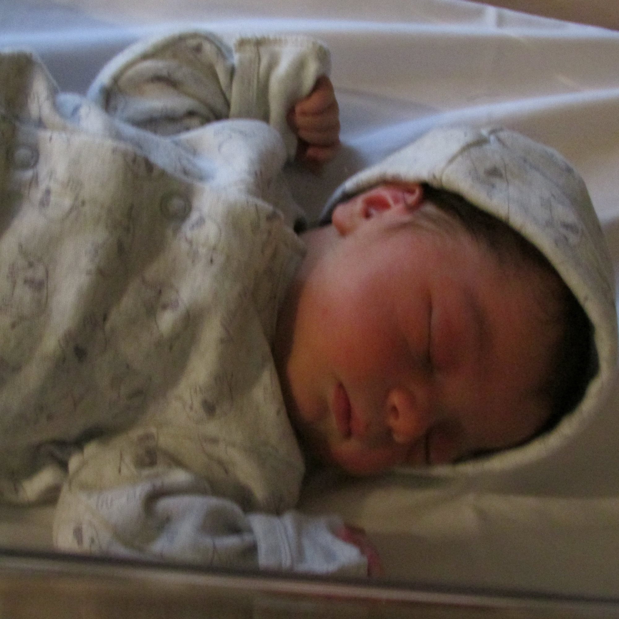 Barrett Daniel photo