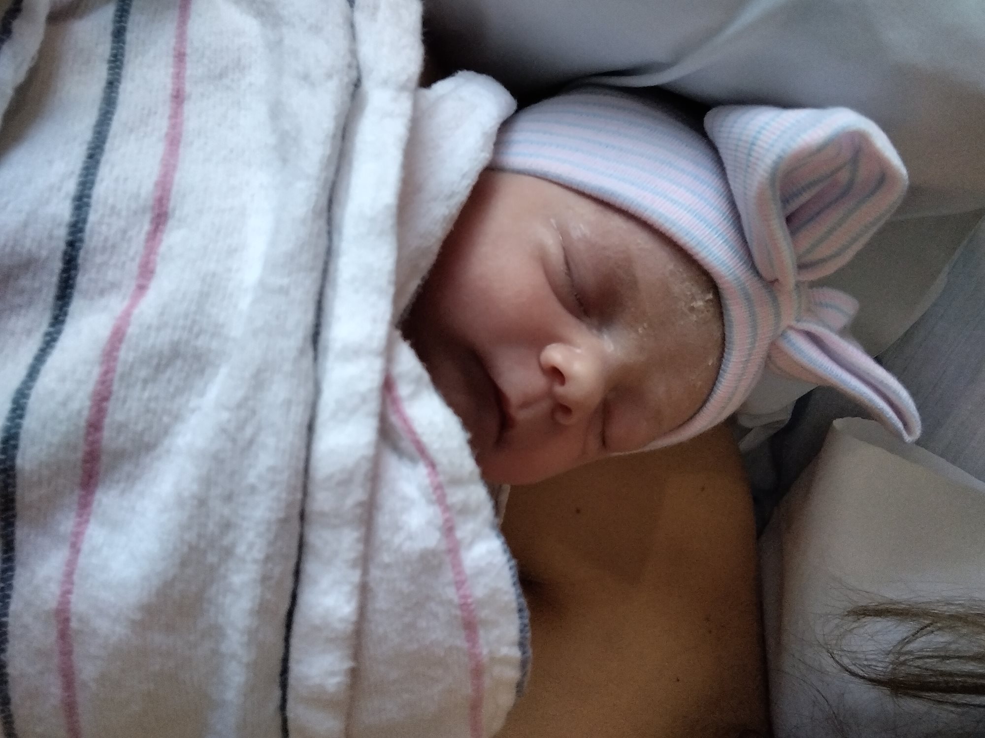 Calliope Faith-Rose  photo