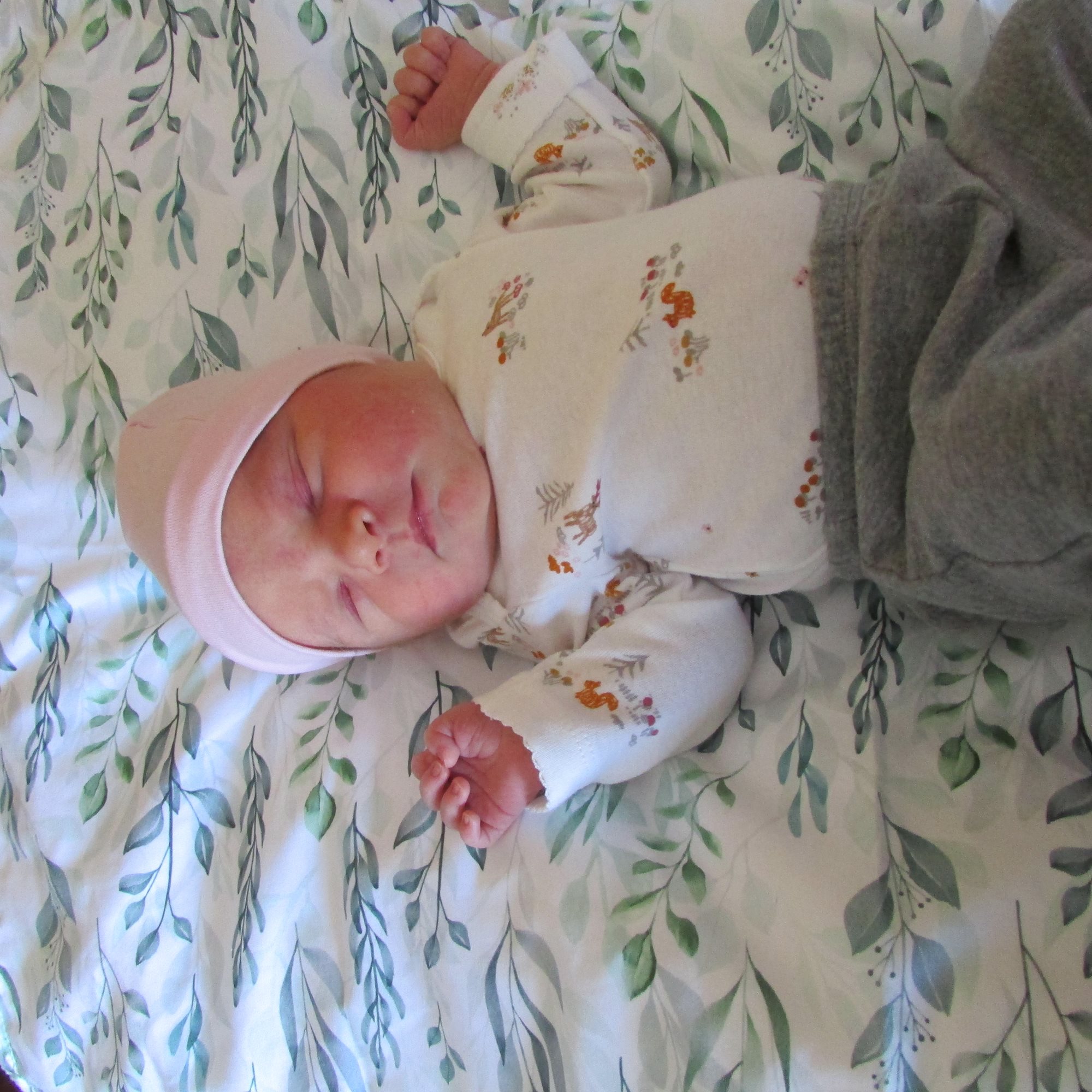 Ella Mae photo