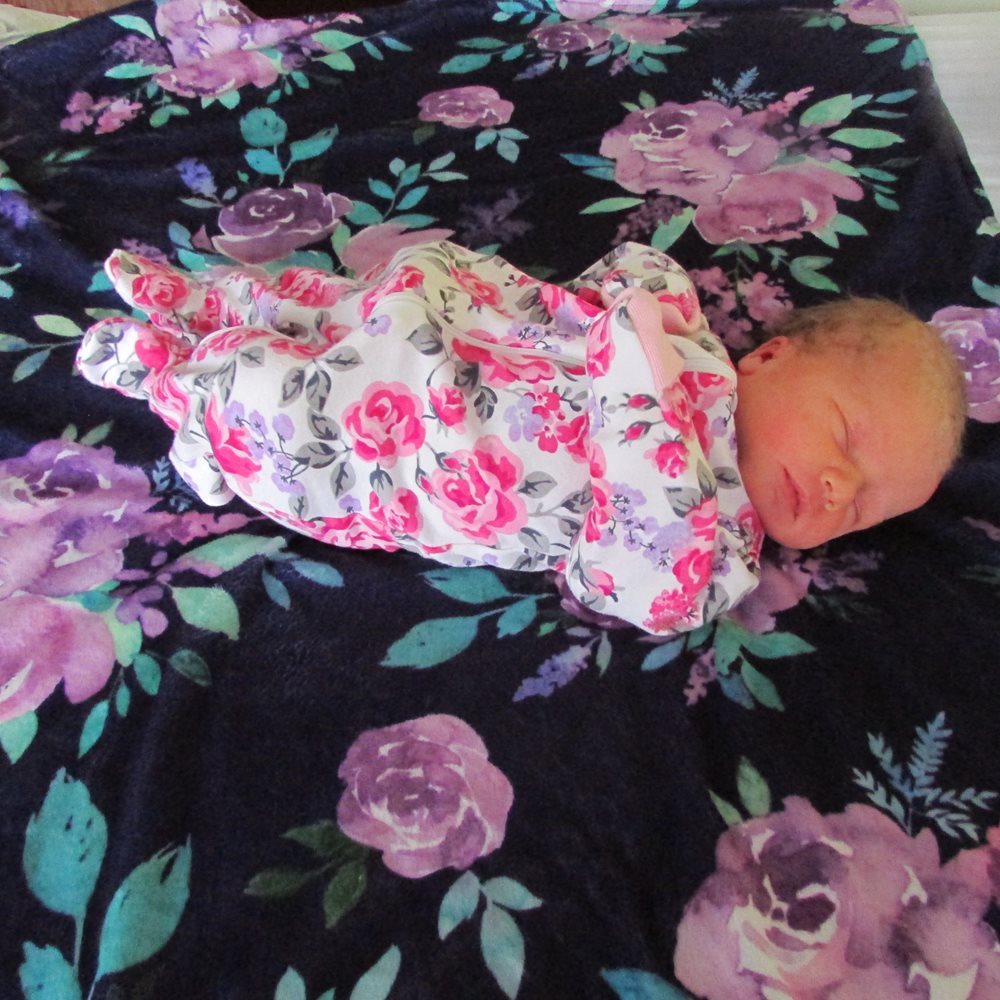Harper Ann photo