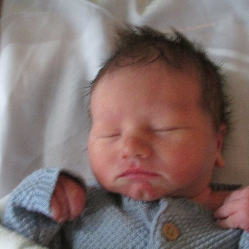 Liam photo