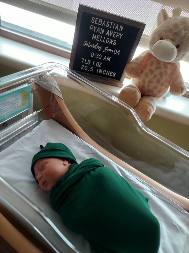 Sebastian Ryan Avery photo
