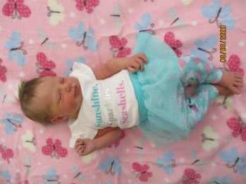 Phoebe Dylan photo